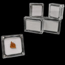 Magnetic Acrylic - Display Case