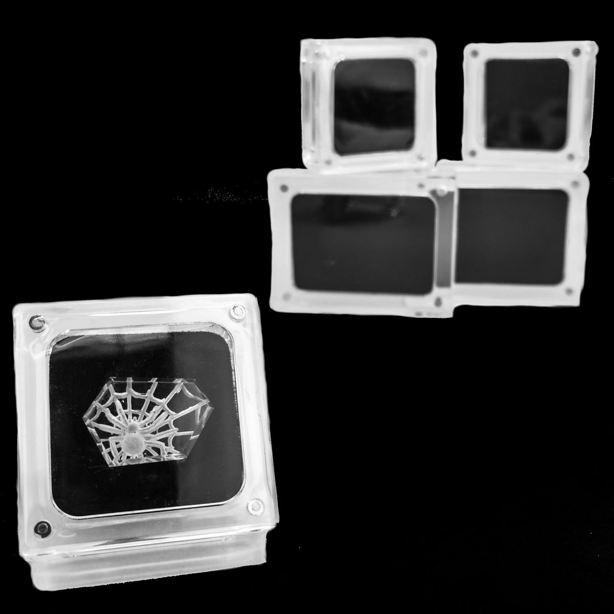 Magnetic Acrylic display case.