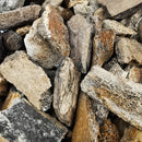 猛犸象骨头碎片 - 化石