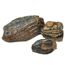 Mammoth Tooth (Partial) - Fossil