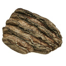 Mammoth Tooth (Partial) - Fossil