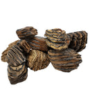 Mammoth Tooth (Partial) - Fossil