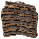 Mammoth Tooth (Partial) - Fossil