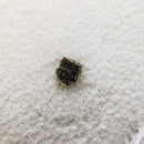 火星岩石 - 原始