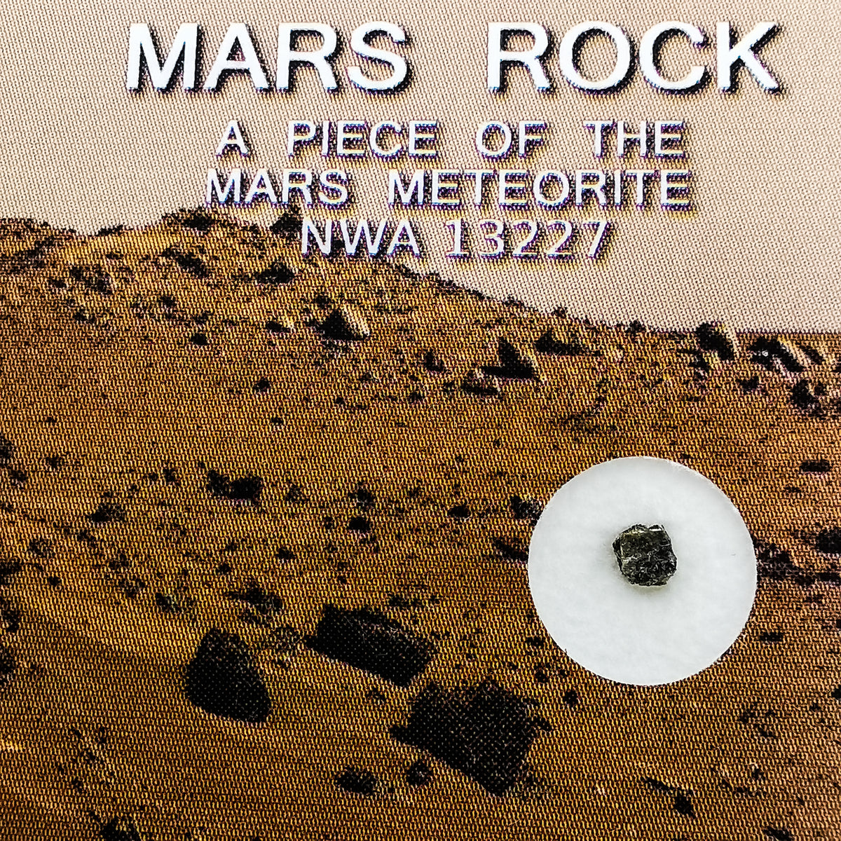 Mars Rock - Raw, a fragment of the martian meteorite Northwest Africa 13227.