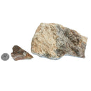 Mercury Jasper - Rough