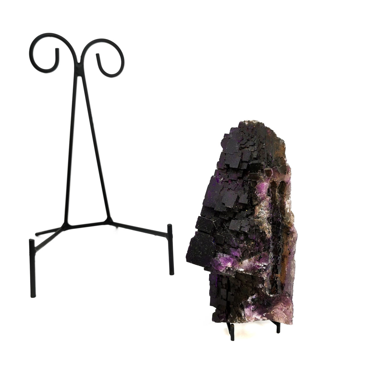 Curled Black Metal Stand display, made of steel.