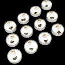 Sikhoti-Alin 陨石 - 原始