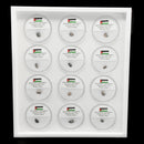 VESTA Western Sahara Meteorite - Raw