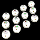 VESTA Western Sahara Meteorite - Raw