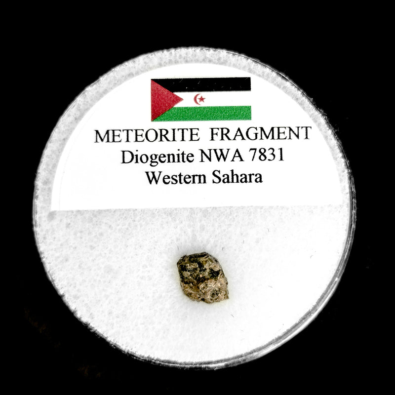 VESTA Western Sahara Meteorite - Raw