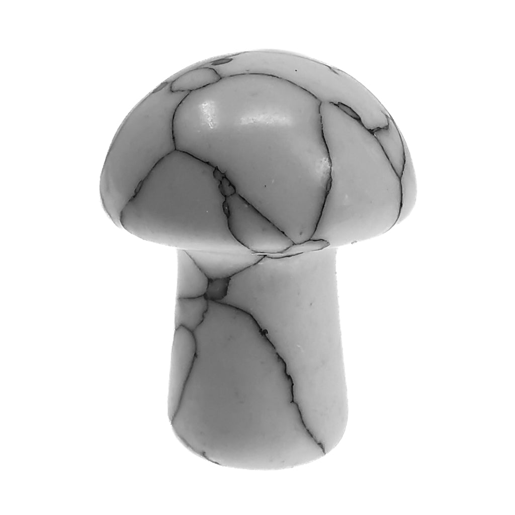 Mini mushroom carving – white veined mushroom