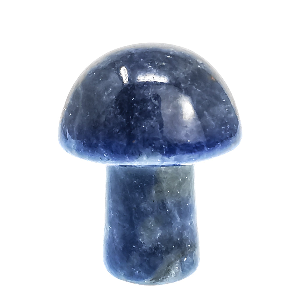 Mini mushroom carving – sodalite mushroom