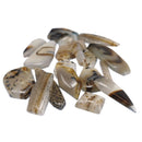 蒙大拿玛瑙 - 凸圆形