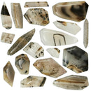 蒙大拿玛瑙 - 凸圆形