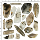 蒙大拿玛瑙 - 凸圆形