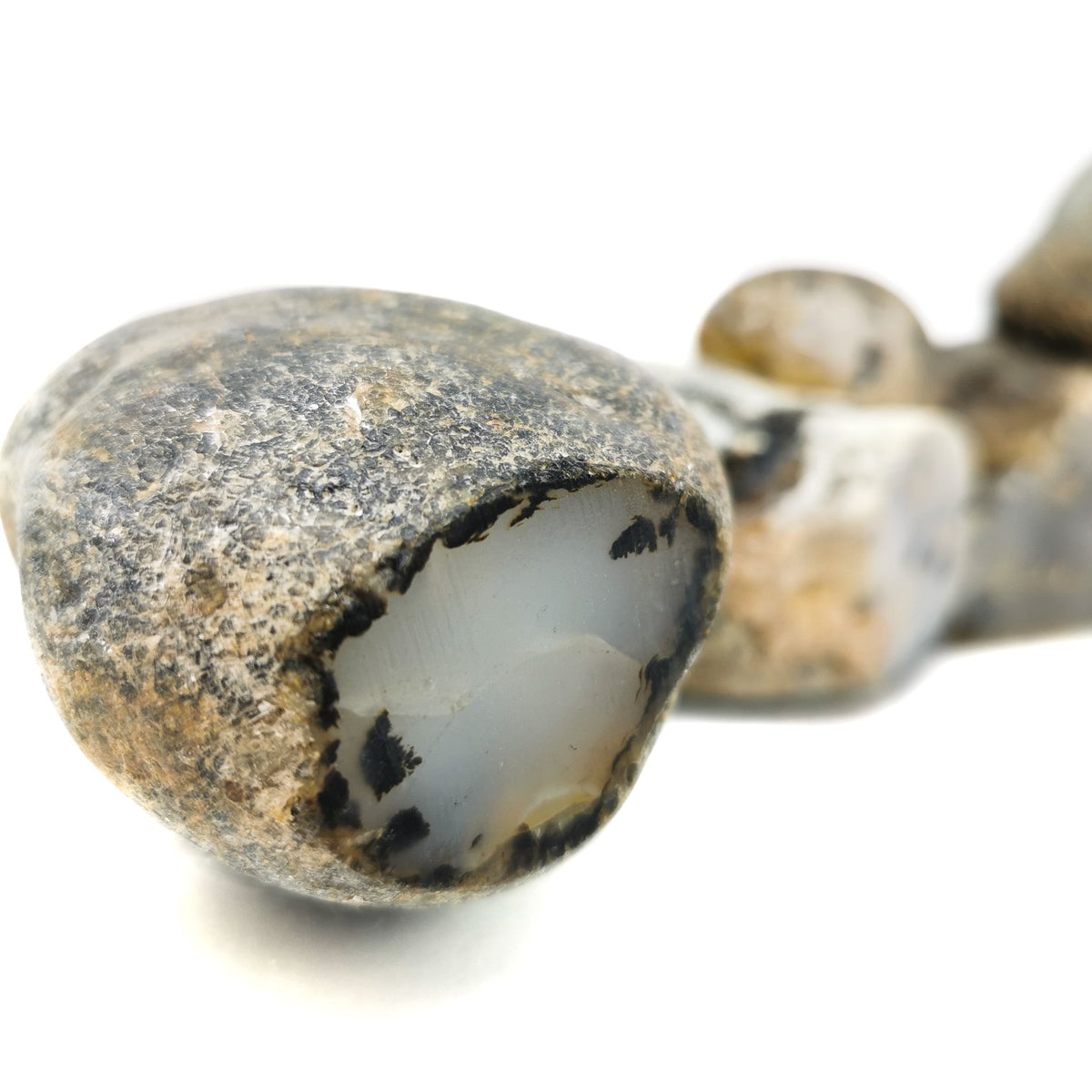 Montana Agate rough, a variety of chalcedony.