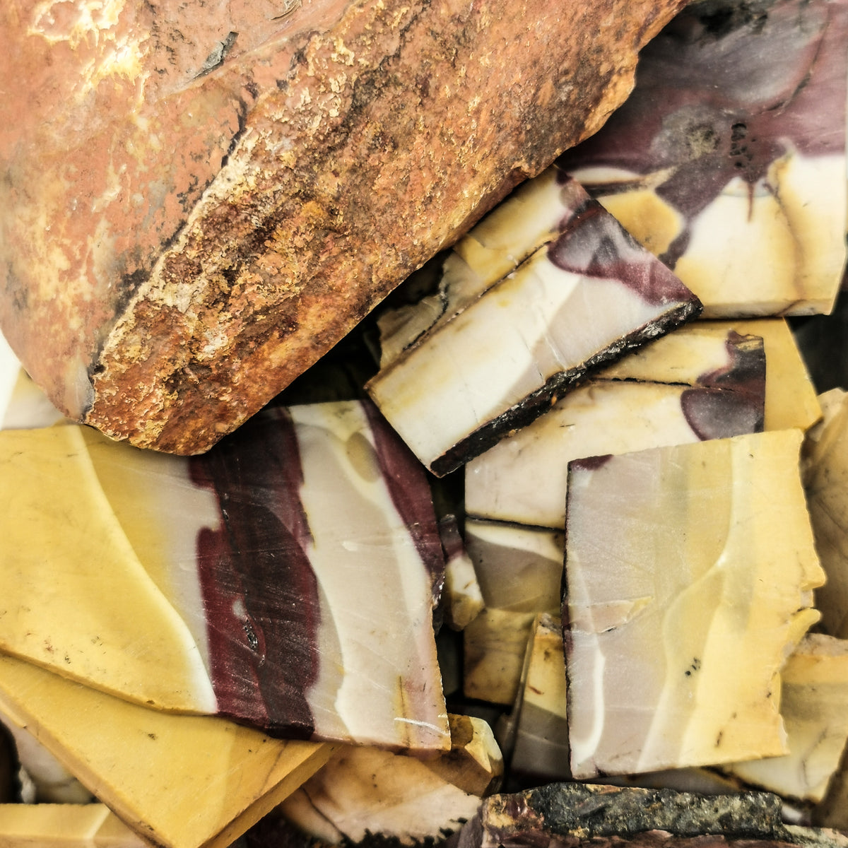 Mookaite rough slab from Carnarvon, Australia.