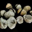 Quartz Geode - Mini (Cracked) - Raw