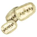 沧龙下颌骨矩阵 - 化石