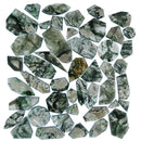 Moss Agate - Window Cut