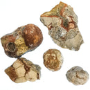 蘑菇流纹岩 - 粗糙