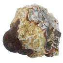 蘑菇流纹岩 - 粗糙