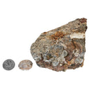 蘑菇流纹岩 - 粗糙