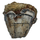 蘑菇流纹岩 - 粗糙