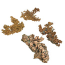 Native Copper - Mineral