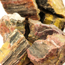 Nazlini Fossil Wood -Rough