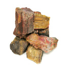 Nazlini Fossil Wood -Rough