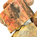 Nazlini Fossil Wood -Rough