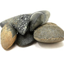 Neolithic Axe Head - Fossil