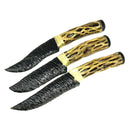 Black Obsidian - Cactus Knife