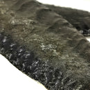 金色光泽黑曜石 - Biface