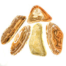 自由形状雪花石膏碗