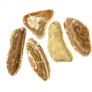 自由形状雪花石膏碗