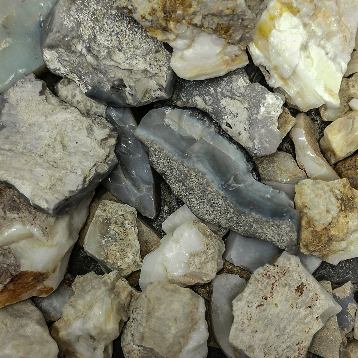 Crystal Opal rough, hydrated silica, from Mintabie, South Australia, Australia.