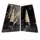 Orthoceras 层压 - 书挡