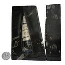 Orthoceras 层压 - 书挡