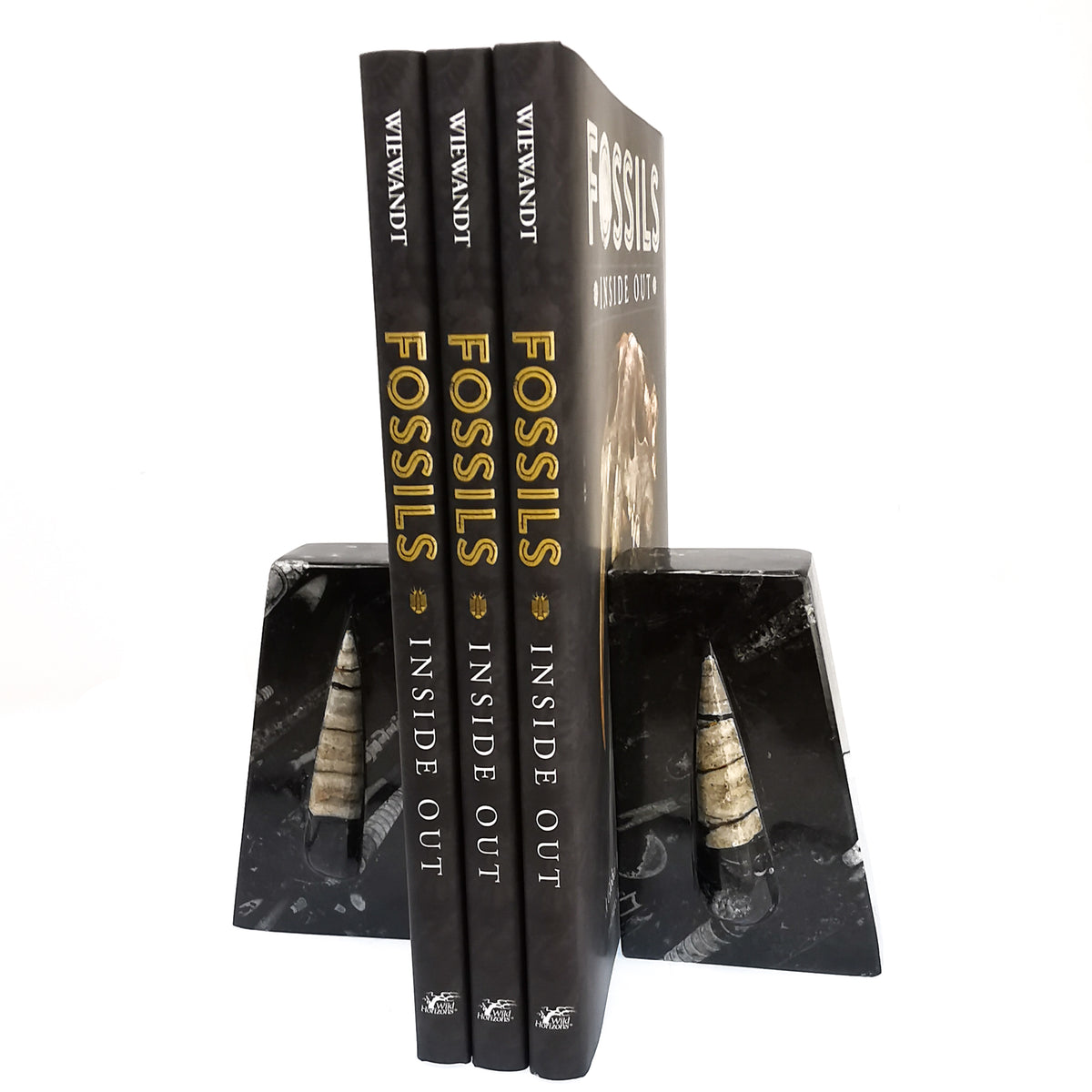 Orthoceras Laminated book ends fossil from Morocco, Orthoceras Limestone, Ludlow.