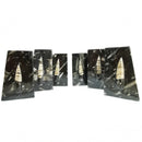 Orthoceras 层压 - 书挡