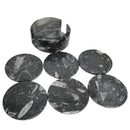 Orthoceras 杯垫 - 化石