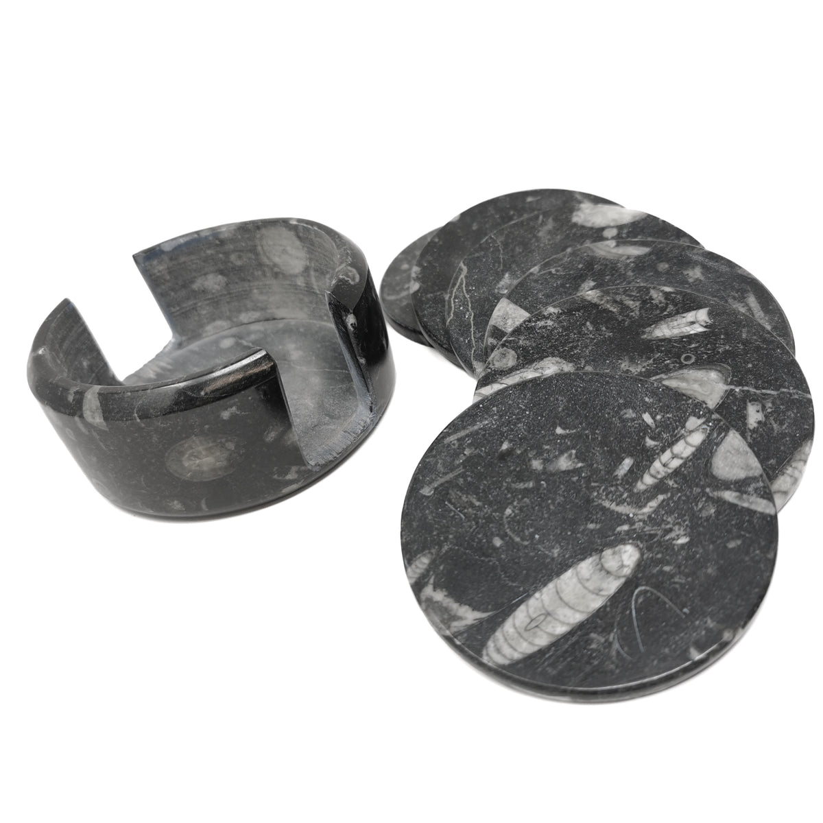 Orthoceras Coasters fossil from Morocco, Orthoceras Limestone, Ludlow.
