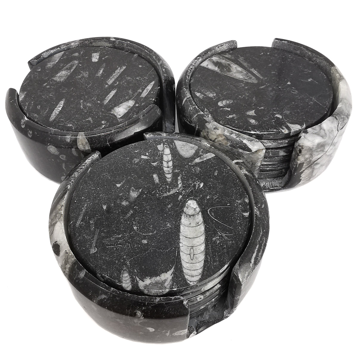 Orthoceras Coasters fossil from Morocco, Orthoceras Limestone, Ludlow.