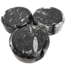 Orthoceras 杯垫 - 化石