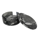 Orthoceras 杯垫 - 化石