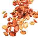 火蛋白石 - 椭圆形刻面