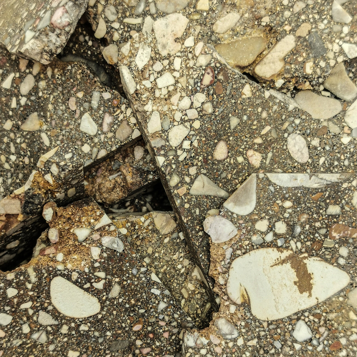 Peanut Jasper Conglomerate rough slabs.